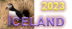 Our trip to Iceland in 2023